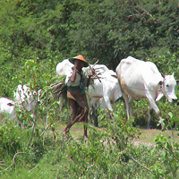 Biologisches Teilprojekt
