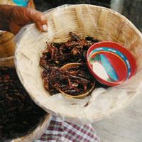 Politikwissenschaftliches Teilprojekt